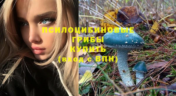 mix Верхний Тагил