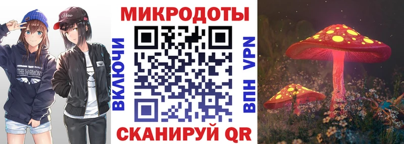 Псилоцибиновые грибы GOLDEN TEACHER как найти наркотики kraken вход Новокузнецк